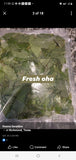 Fresh Nigerian Oha Vegtable