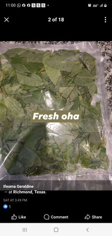 Fresh Nigerian Oha Vegtable
