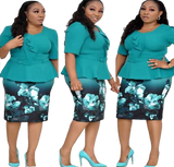 Skirt & Blouse